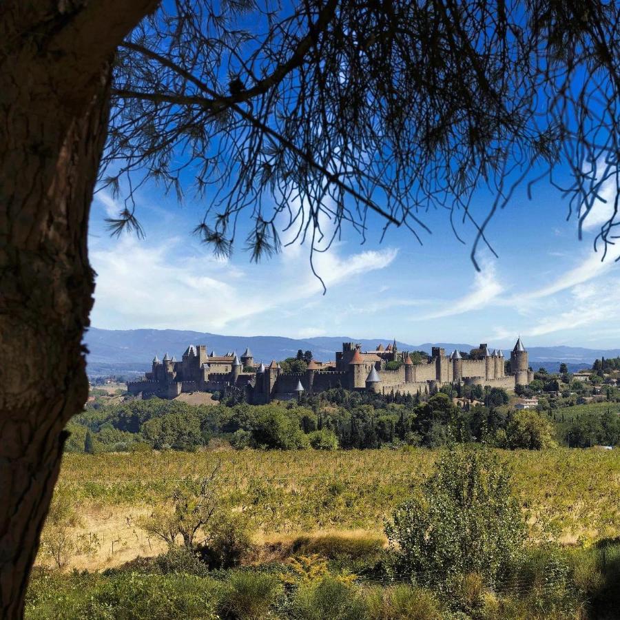 Maison De Margot Peyriac-Minervois Exteriér fotografie