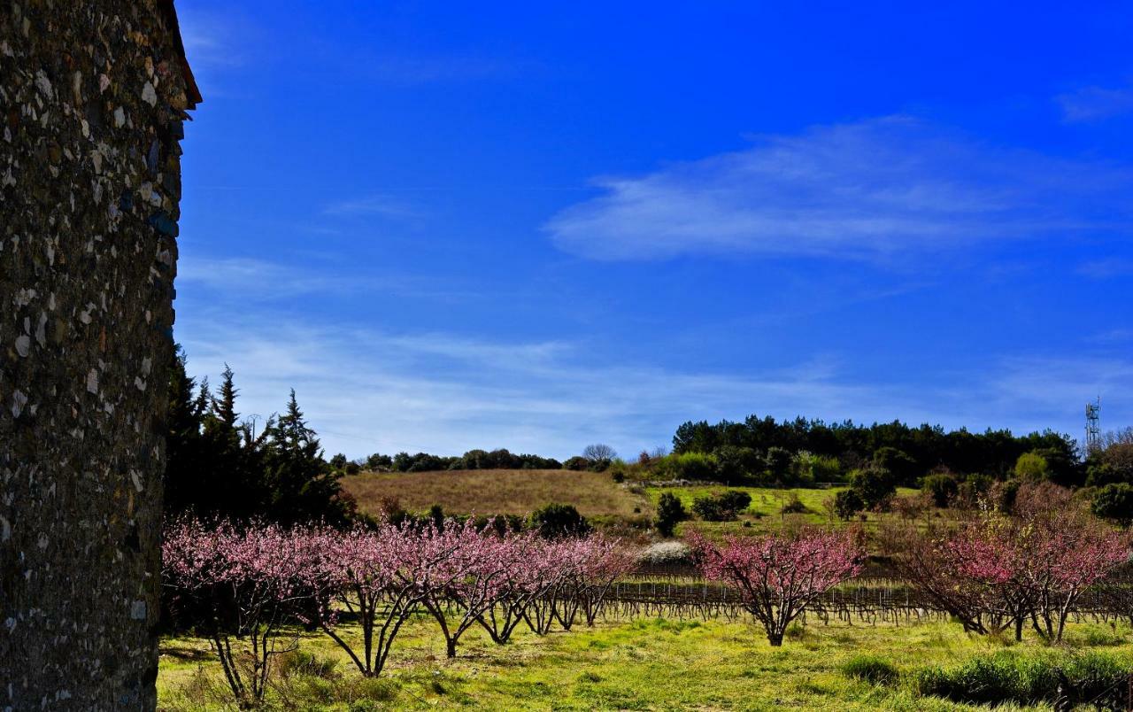 Maison De Margot Peyriac-Minervois Exteriér fotografie